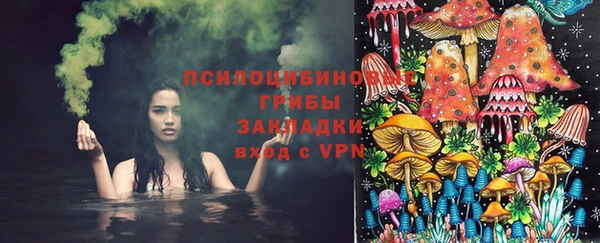 сатива Абаза