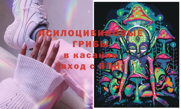 мяу мяу мука Алзамай