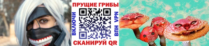 Псилоцибиновые грибы мухоморы  Саратов 