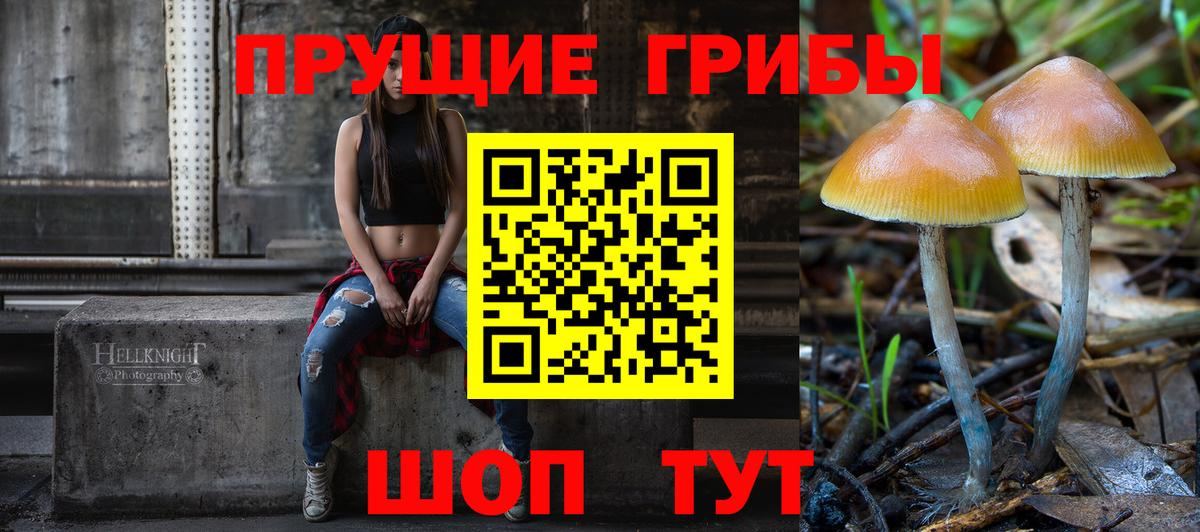 Саратов  Псилоцибиновые грибы Psilocybe  Галлюциногенные грибы ЛСД  Вход с VPN 