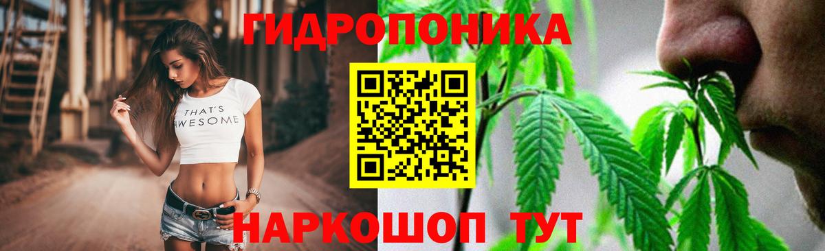 Канабис семена  Вход с VPN  Саратов  Каннабис Ganja  Марихуана OG Kush 